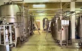 фотография продукта молочный завод "под ключ"